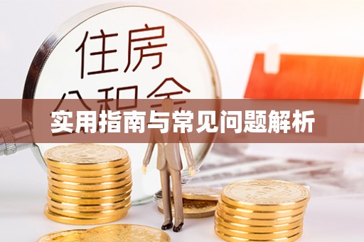 花山实用指南与常见问题解析