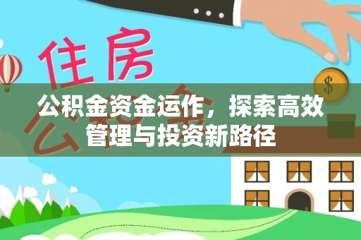 花山公积金资金运作，探索高效管理与投资新路径